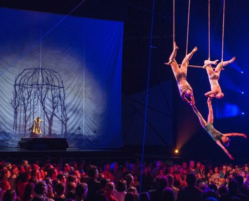 Cirque Du Soleil Concorrência