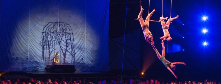 Cirque Du Soleil Concorrência